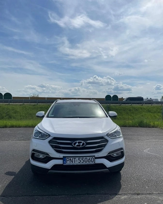 Hyundai Santa Fe cena 87900 przebieg: 95500, rok produkcji 2016 z Nysa małe 352